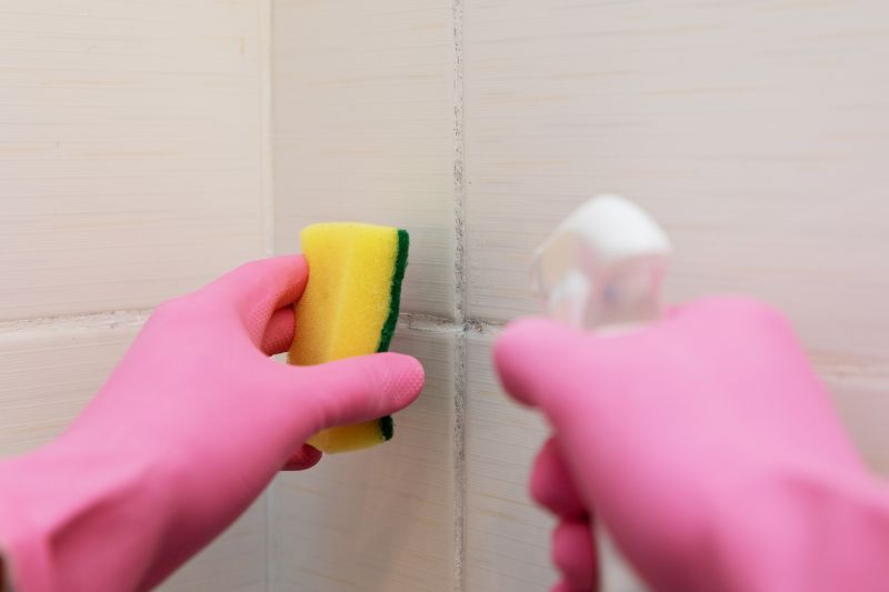 Effective Shower Mold Removal Tips