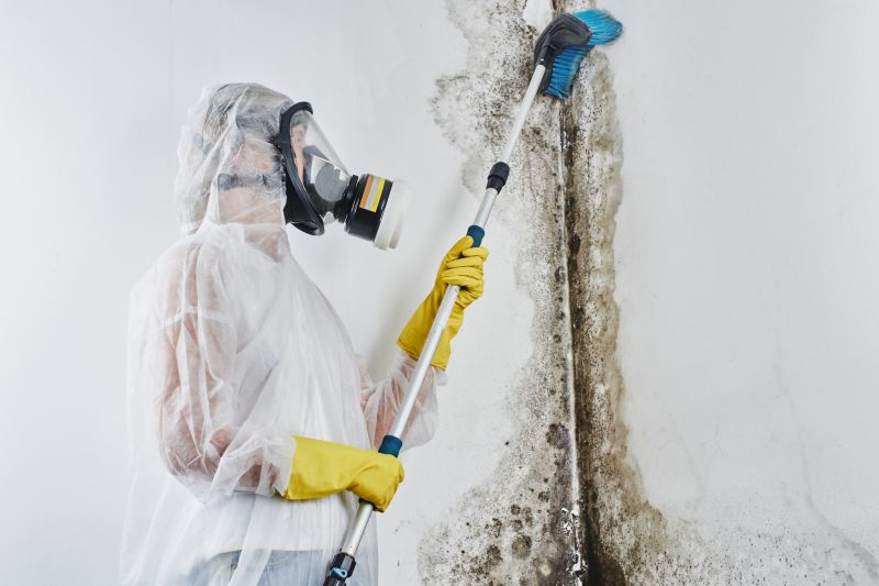 Shower Mold Removal