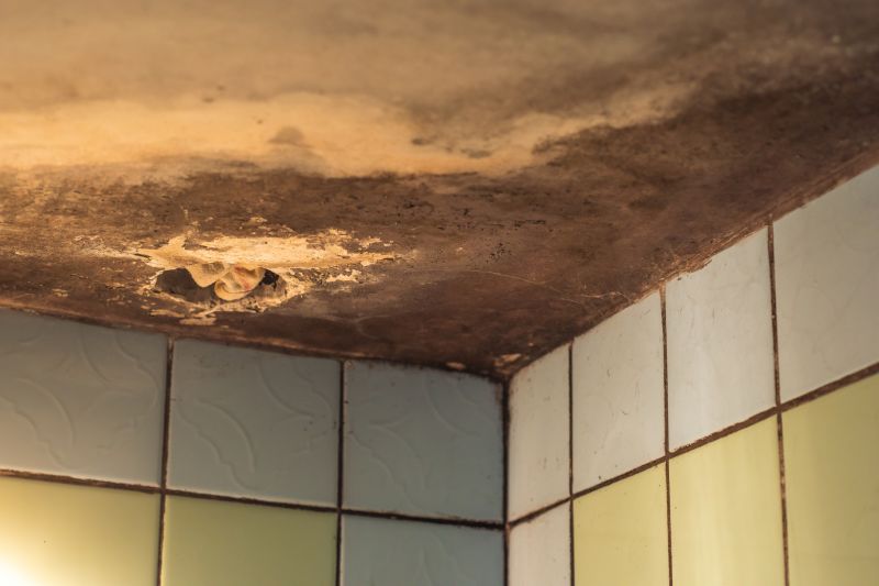 Shower Mold Removal