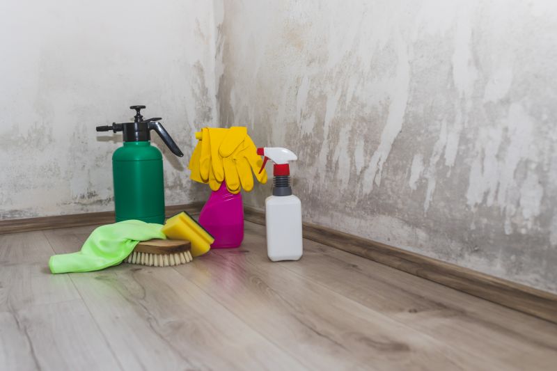 Shower Mold Removal