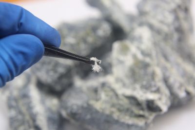 Asbestos Service in Morris County, NJ