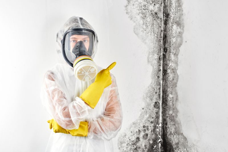 Professional Mold Inspection