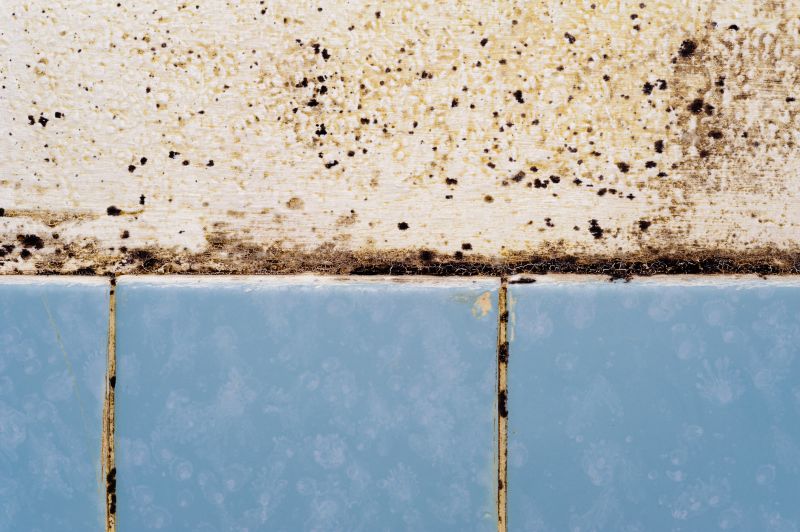 Shower Mold Removal