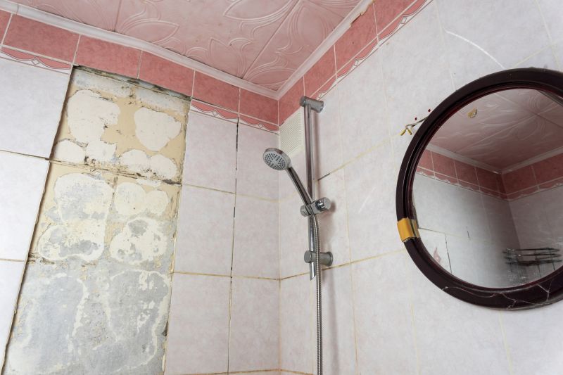 Shower Mold Removal