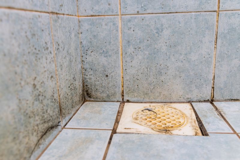 Shower Mold Removal