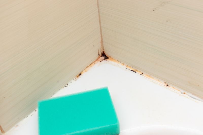 Shower Mold Removal