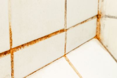Prevent Structural Damage By Getting Professional Shower Mold Removal!