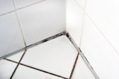 Protect Your Loved Ones From Mold Related Illness By Getting Professional Shower Mold Removal!